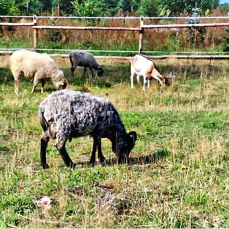 Campo Gitano