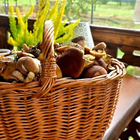 Vakantiehuis Campo Gitano *