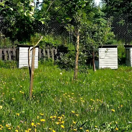 Campo Gitano Vakantiehuis Gasno